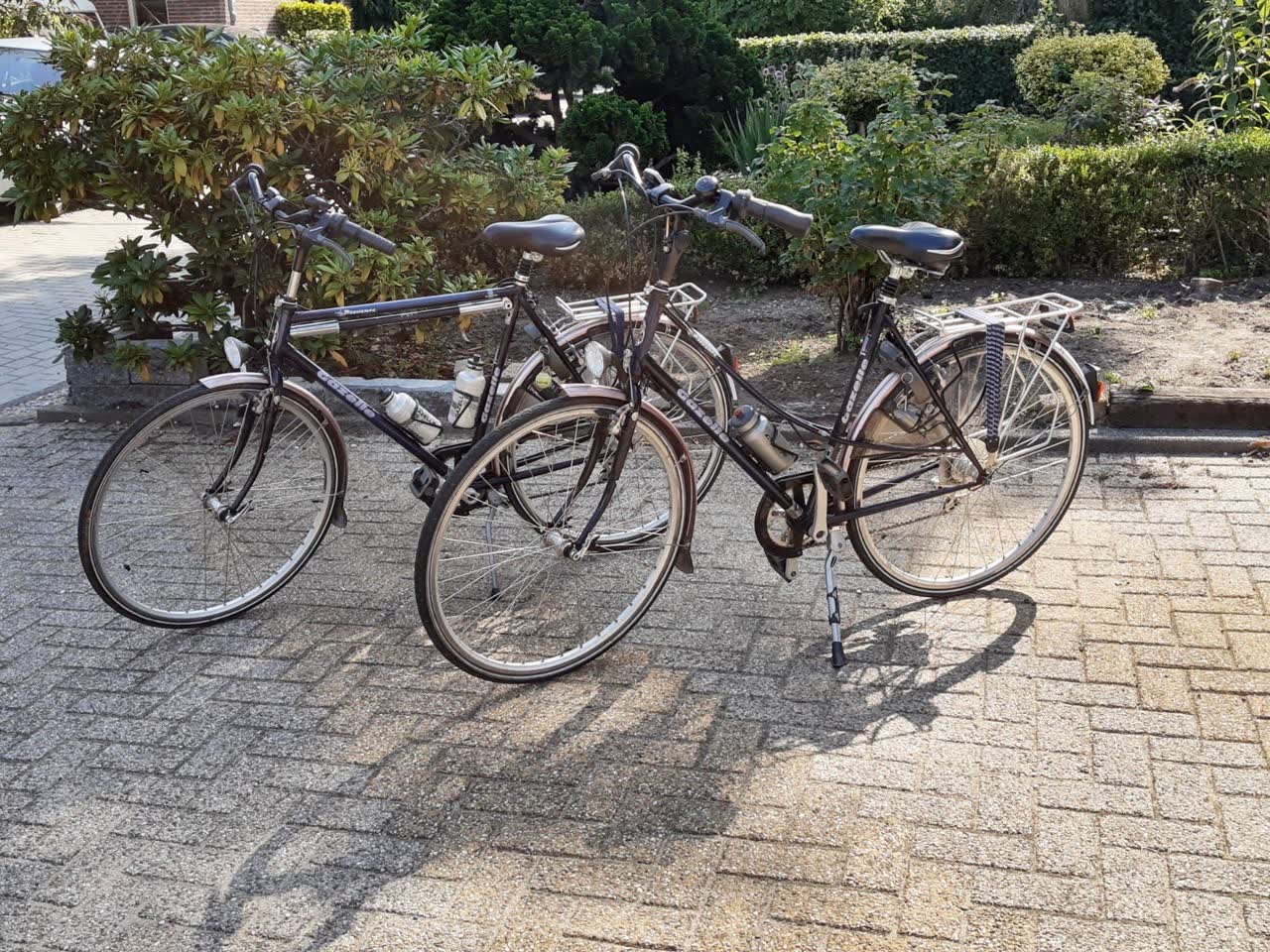 Twee hybride fietsen van Partypunt Fietsverhuur, geschikt voor een dagje Veluwe