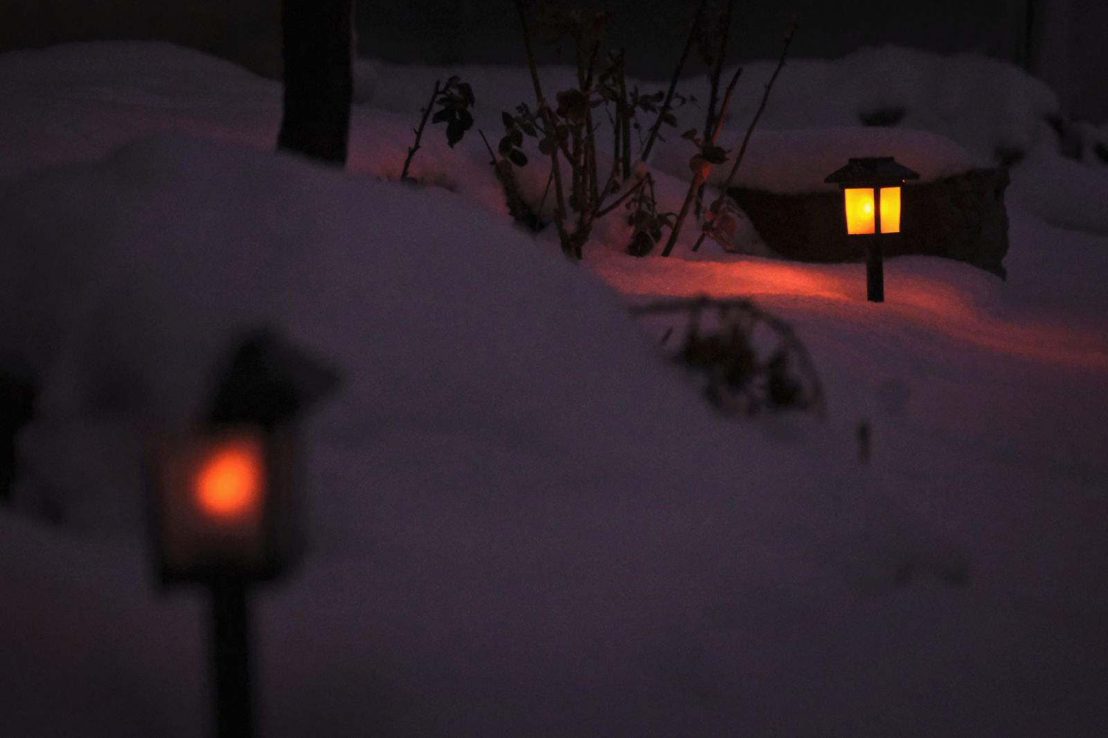 Sfeerbeeld Winter Wonderland